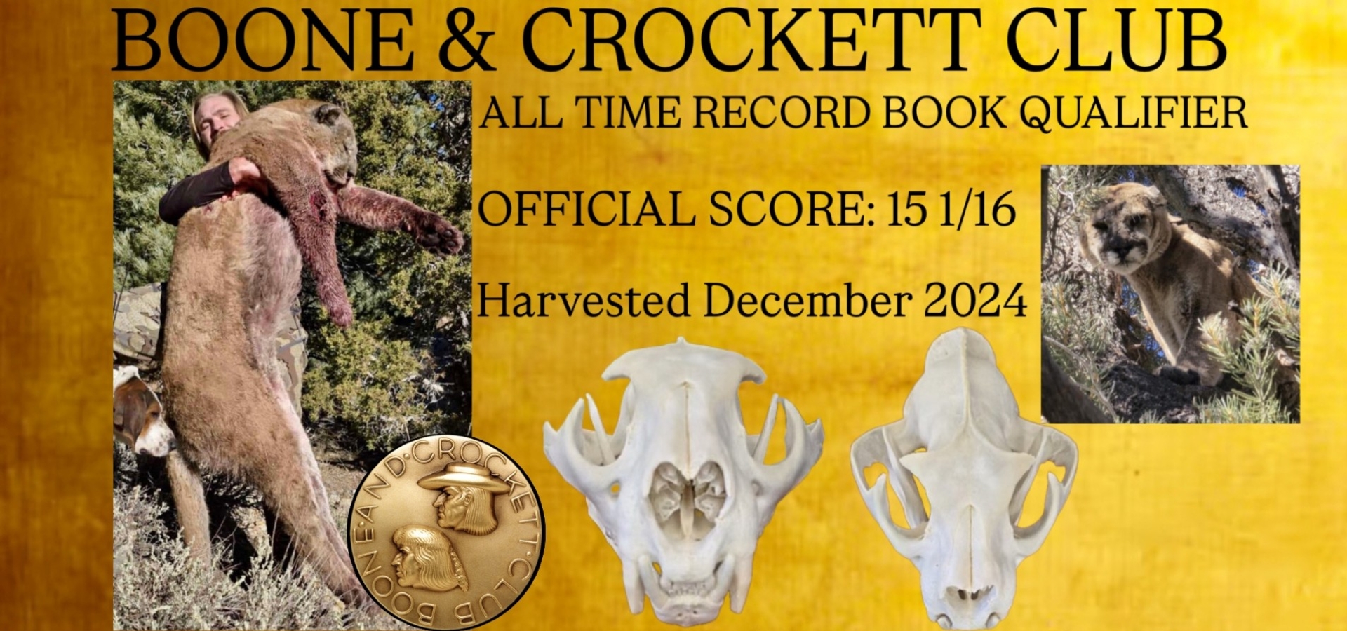boone and crockett